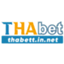 thabettinnet