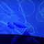 id:theLongestday