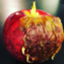 id:thinkborder
