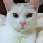 id:thurow