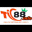 tic88info1