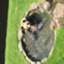 id:tiger8091
