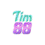 tim88agency