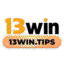 tips13win