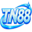tn88ink