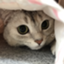 id:tod_output
