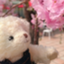 id:tokimekiplus