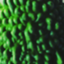 id:ton-d