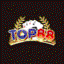 TOP88