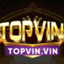 topvinvinn