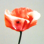 id:torikumoni