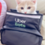 id:toto-zigoku