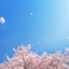 id:toudaibenkyo