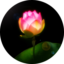 id:toumeisensei
