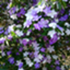 id:tourinren