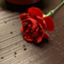 id:toushikanoyabo