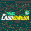 trangcdbd7777