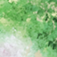 id:tree_log0505