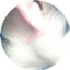 id:tsubakun