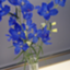 id:tsucd
