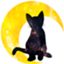 id:tsukimiya_hiragi