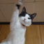 id:tunomaru