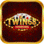 twin688beer