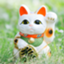 id:u-neko