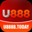 u8888today
