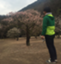 id:uedajunior