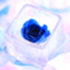 id:umax888