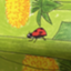 id:umekoplaza