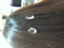 id:umiushi0817