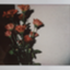 id:undrcrrnt