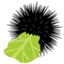 id:uni-echt-spitz