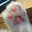 id:urara55