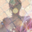 id:urasma5