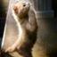 id:uruberiosero