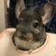 id:utaNanoha
