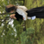 id:utachan_mama
