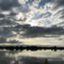 id:utamaru831