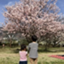 id:utomoaki