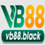 vb88black