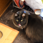 id:vet_camera