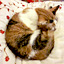 id:viangping