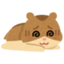 id:viscogon-lili