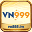 vn999im