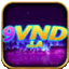 9vnd la