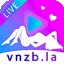 vnzbla