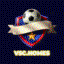 vschomes